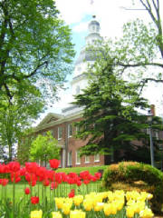 Annapolis-Pics/State_House_in_Spring.JPG